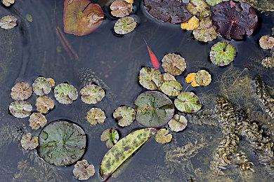 《无主之地4》武器系统获新改动 加入三大武器制造商